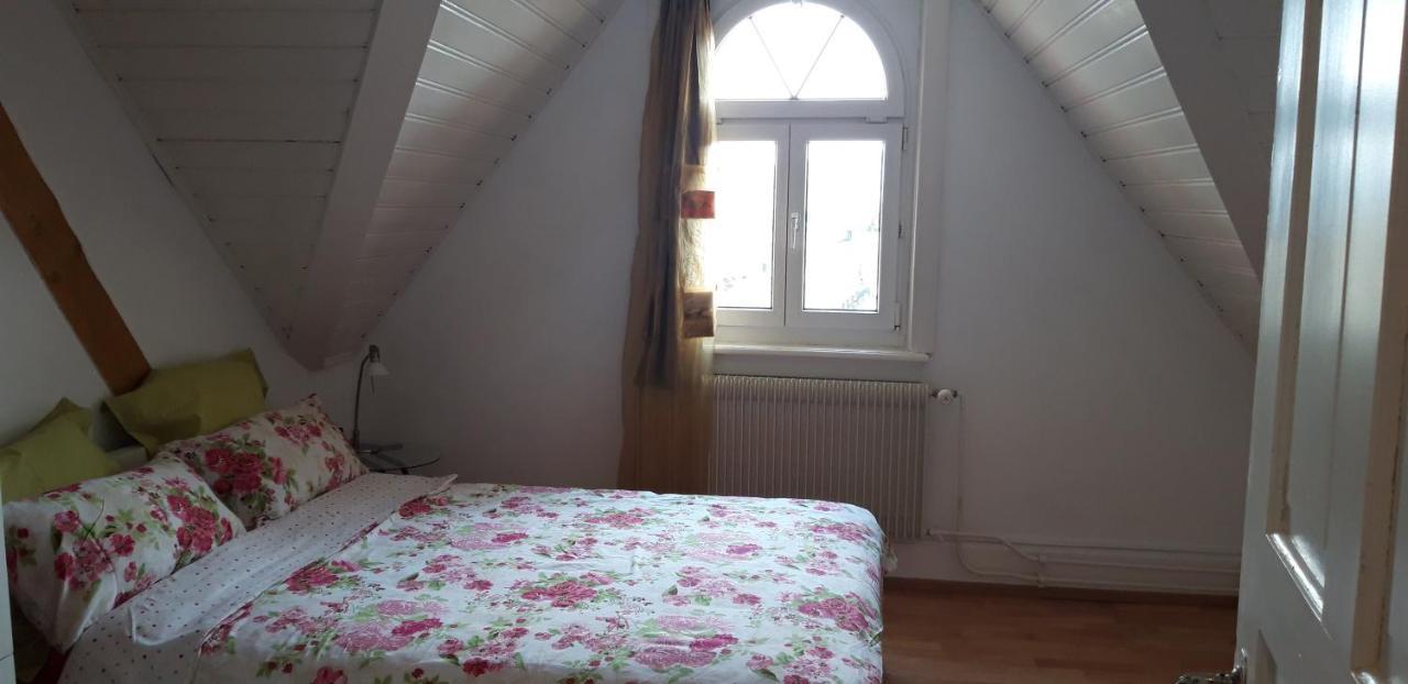 Ferienwohnung Stein Am Rhein Nahe Bahnhof Und Rhein Exteriör bild