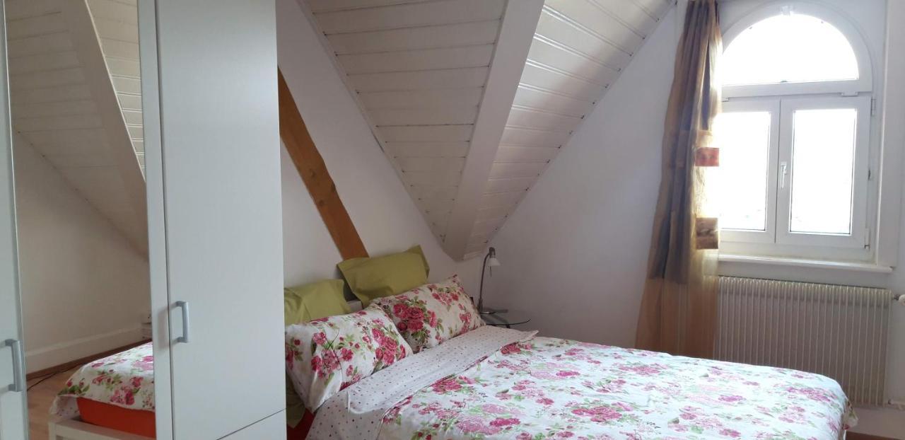 Ferienwohnung Stein Am Rhein Nahe Bahnhof Und Rhein Exteriör bild